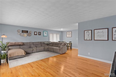 832 Independence Ridge, Springfield, IL 62702 - photo 6