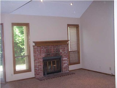 Wood burning Fireplace in Living Room