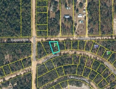 0 Unassigned unit MFRTB8435194, Interlachen, FL 32148 - photo 6