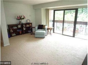 51 Skyhill Rd unit 204, Alexandria, VA 22314 - photo 7