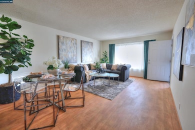 1428 Saint Frances Dr, Antioch, CA 94509 - photo 7