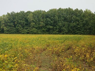 1 W 1000 N, Pines, IN 46360 - photo 2