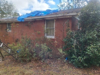 546 Alton Lawson Rd, Adrian, GA 31002 - photo 5