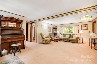 582 Lewis Branch Rd, Marshall, NC 28753 - photo 5