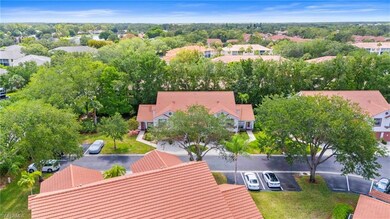 Drone / aerial view of a tree filled landscape