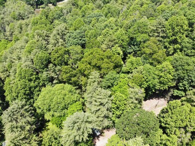 DJI_0941