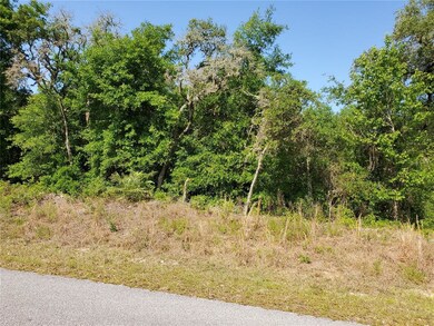 LOTS 13 & 14 SW Valencia Heights Ave, Dunnellon, FL 34431 - photo 3