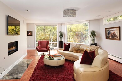 123 Mountain Laurel Dr, Aspen, CO 81611 - photo 6