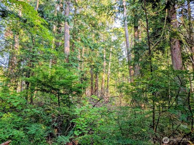 2 Mill Rd, Point Roberts, WA 98281 - photo 6