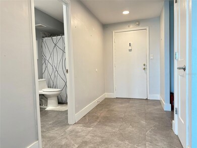 Entrance into the home