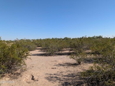 39143 W Catalina Dr unit 1164, West Phoenix Estates, AZ 85354 - photo 3