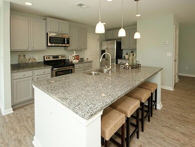 203 Cypress Marsh Rd, Moncks Corner, SC 29461 - photo 7