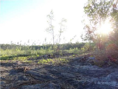 Additional View 1