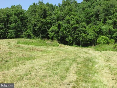 0 Ben Venue Rd unit 1000113599, Flint Hill, VA 22627 - photo 3