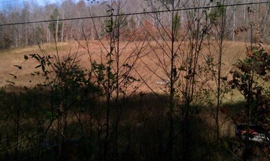 1 Bolton Hollow Rd, Somerset, KY 42501 - photo 5