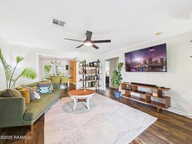 521 Saint Catherine St, Lafayette, LA 70506 - photo 4