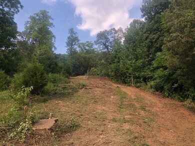 00 Macedonia Rd, Cookeville, TN 38506 - photo 4