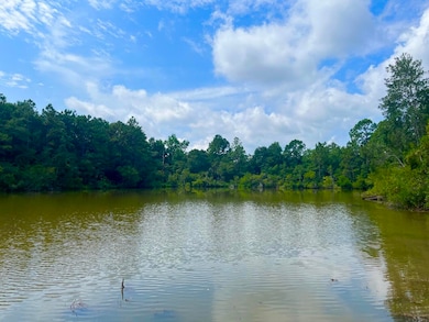 114 Tranquility Dr, Crestview, FL 32536 - photo 4