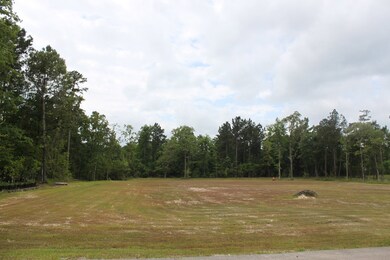 TBD Dogwood Cir, Lufkin, TX 75904 - photo 2