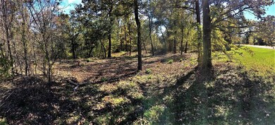 370 Dove Canyon Dr, Gordonville, TX 76245 - photo 2