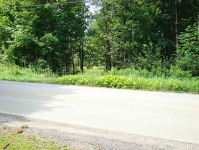 5 Poverty Row, Whitingham, VT 05361 - photo 5