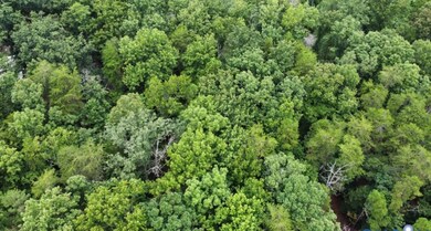 4844 Fox Lair Rd, Gum Spring, VA 23065 - photo 2