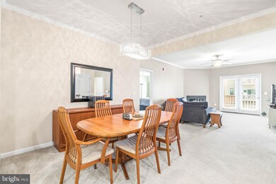 24636 Woolly Mammoth Terrace unit E-203, Aldie, VA 20105 - photo 7