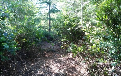 0 Thomas Rd unit 955007, Grapeview, WA 98546 - photo 7