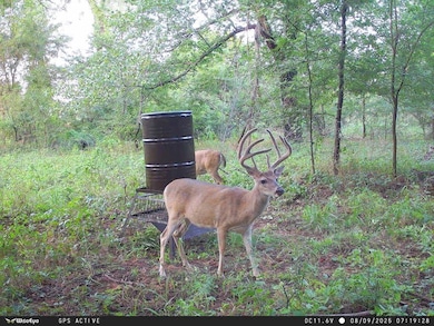 0 Fm 171 unit 11599336, Ryan, OK 73565 - photo 3