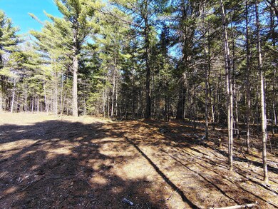 IMG_20250505_152206825_HDR