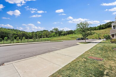 Open green space directly across from the property