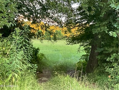 IMG_0008