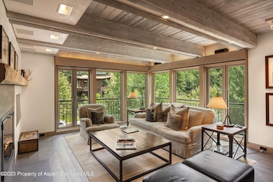 525 S Original St unit F, Aspen, CO 81611 - photo 3