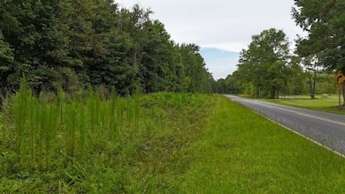 0 Giles Rd unit LotWP002 24182710, Linden, NC 28356 - photo 3