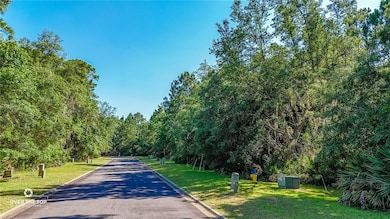 V/L Stern St, St. Marys, GA 31558 - photo 6