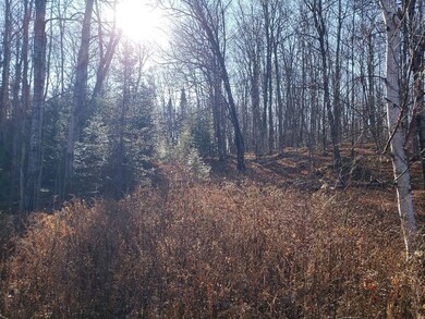 3455W Wisconsin 182, Mercer, WI 54547 - photo 4