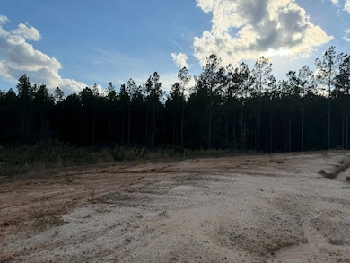 108 Meadowview St, Jena, LA 71342 - photo 7