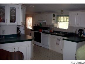 3905 N Calumet Terrace, Hernando, FL 34442 - photo 5