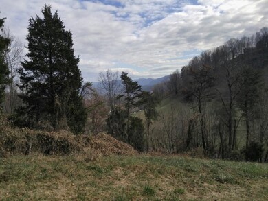 TBD Watauga Rd, Watauga, TN 37694 - photo 7