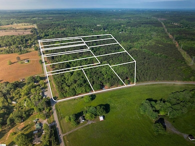 09 Moorefield Memorial Hwy, Liberty, SC 29657 - photo 2