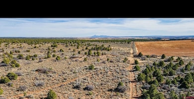 11204 Colorado 141, Egnar, CO 81325 - photo 7