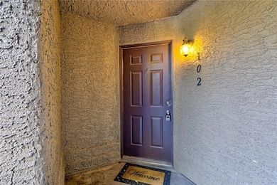 5058 S Rainbow Blvd unit 102, Las Vegas, NV 89118 - photo 3