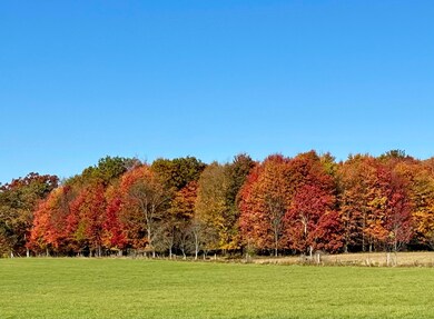 0 Youngsville Rd unit 8-8720, Pittsfield, PA 16340 - photo 3