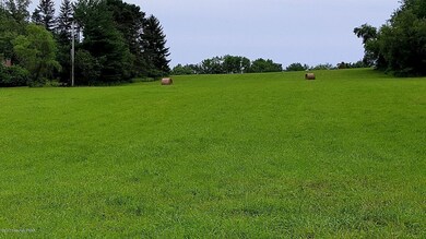 2.07 Acres On Doll Rd, Stroudsburg, PA 18360 - photo 4