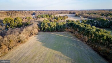 510 Truslow Rd, Chestertown, MD 21620 - photo 4