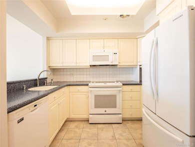 372 Main St unit 105, Port Washington, NY 11050 - photo 4