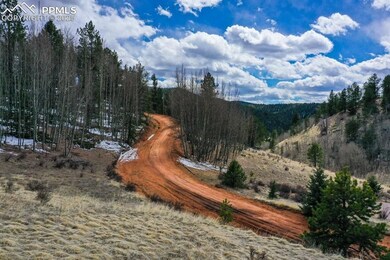 TBD Valley Rd, Divide, CO 60814 - photo 7
