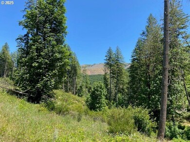 15996 Nonpareil Rd, Sutherlin, OR 97479 - photo 2