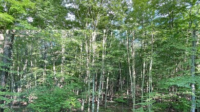 Lot 9 Blue Heron Way, Hawley, PA 18428 - photo 4