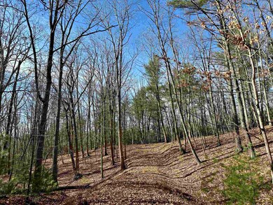 1258 Treetop Ridge Rd, Blacksburg, VA 24060 - photo 7